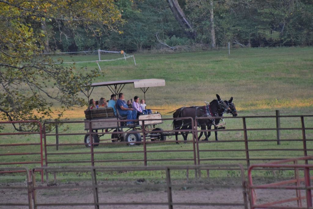riddle center barn event 10-19 189 (1024x683).jpg